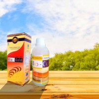 obat herbal alami Jelly Gamat Bio Gold G 500 obat nyeri radang sendi