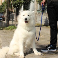 Jual TALI TUNTUN PELATIH .. BIG diameter tali 1 cm .... CESAR MILAN Murah