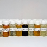 Jual PREMIUM ESSENCE / FLAVOUR IMPORT FOR DIY E-LIQUID 19ML Murah