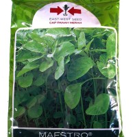 1 Pack 500 gr Benih Bibit Sayuran Bayam Hijau Maestro Cap Panah Merah