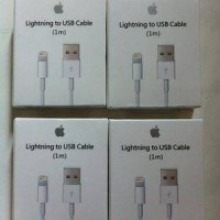 Jual KABEL DATA USB IPHONE 5 6 7 CHARGER LIGHTNING ORIGINAL APPLE IPAD MINI Murah