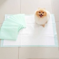 Jual TRAINING PAD , LATIHAN PIPIS, KENCING, PUP ANJING, ALAS KANDANG Murah
