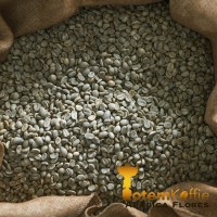 Jual Coffee Bean Arabica Flores (Biji Kopi Mentah) Murah