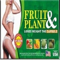 Jual OBAT PELANGSING BADAN ALAMI FRUIT & PLANT NATURAL SLIMMING Murah
