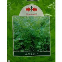 BENIH BIBIT SELEDRI AMIGO Cap PANAH MERAH