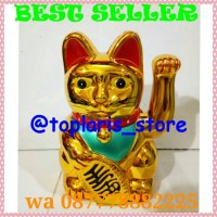 Jual Kucing Hoki Rejeki Super Jumbo Murah