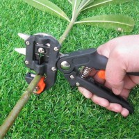 Jual Garden Fruit Tree Pruning Scissor Grafting (gunting kebun) Murah