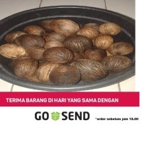 Jual Pengusir Tikus Buah Simpalak Rumah Aman Tentram Murah