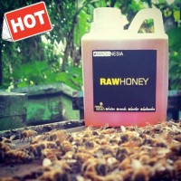 Jual Madu Budidaya/Ternak Randu Nektar Bunga Lebah/Tawon Asli Murni Murah