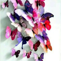 Jual STIKER DINDING KUPU-KUPU 3D TERMURAH Murah