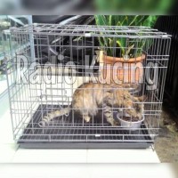 Kandang Kucing/Anjing/Guinea Pig/Kelinci Murah Bandung