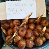 Jual Salak Bali Rasa ASAM Murah