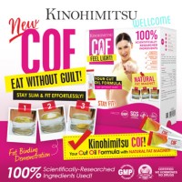Jual KINOHIMITSU COF 6g x 14's Cut Oil Formula with Natural Fat Magnet Murah