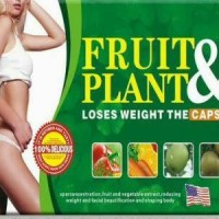 Jual Pelangsing Fruit Plant Murah
