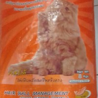 Jual Makanan kucing GUSTO ADULT & KITTEN Murah