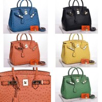 Tas Wanita Hermes Ostrich Import