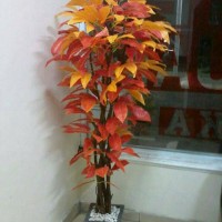 Jual pohon hias| goldhen lucky orange | bahan plastik Murah