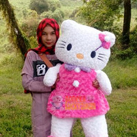 Jual boneka hello kitty pink jumbo besar Murah