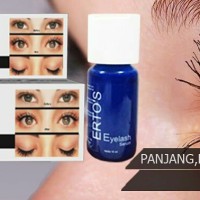 Jual PELENTIK BULU MATA ERTOS EYELASH Murah