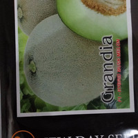 Jual Benih New Day Seed - Melon Grandia Murah