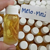 Jual minyak bulus ginseng (100%ori) (isi 30ml) Murah