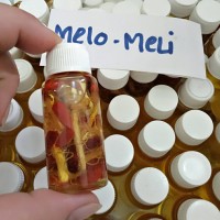 Jual minyak bulus gingseng merah (asli papua) 30ml Murah