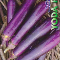 Jual Benih Terong Lonjong - Yoda F1 (New Day Seed) Murah