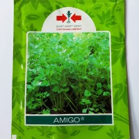 1 Pack 10000 Benih Bibit Sayuran Seledri Amigo Cap Panah Merah