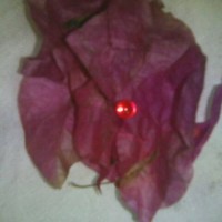 Jual batu merah delima alami Murah