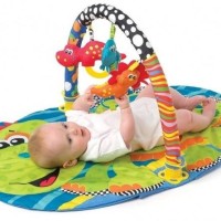 Jual playgro dino baby gym playmat matras alas kasur main play gro playmate Murah