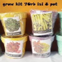 Jual Grow Kit 70rb isi 8 pot (promo) Murah