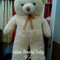 Jual BONEKA TEDDY BEAR SUPER JUMBO CREAM 100CM Murah