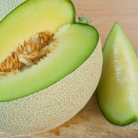 Jual benih melon, bibit melon hijau. Murah