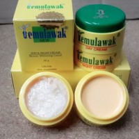 Jual Paket Cream Temulawak Impor Cream Emboss (Day+Night) + Sabun Temulawak Murah