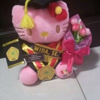 Jual boneka wisuda hello kitty pink 25cm lengkap Murah
