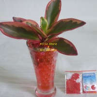 Jual Hidrogel / Hydrogel Dark Red / Merah Tua Murah