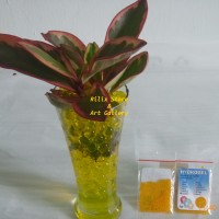 Jual Hidrogel / Hydrogel Golden / Emas Murah