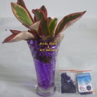 Jual Hidrogel / Hydrogel Purple / Ungu Murah