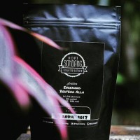 Jual Kopi Arabika Enrekang Benteng Alla Murah