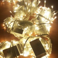 Jual GROSIR 10Pcs Rice Lamp / Tumblr Lamp / Lampu Natal LED Warm White Murah