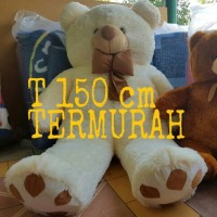 Jual Teddy Bear Super Jumbo 150cm Murah