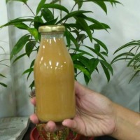 Jual Jamu herbal bawang putih jahe merah madu cuka apel lemon Murah