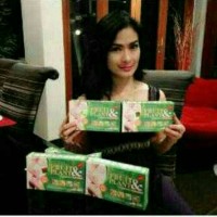 Jual Obat Pelangsing Badan Herbal - Fruit Plant Asli Murah