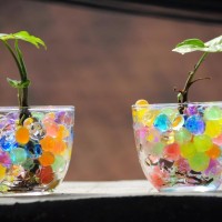 Jual Hidrogel Rainbow hydrogel mix clay soil pelangi media tanam berkebun Murah