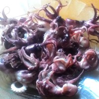 Jual Gurita Baby Rebus Siap Masak Fresh Frozen Seafood Kaya Gizi Rj Fish Murah
