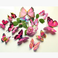 Jual hiasan dinding kupu kupu 3D stiker magnet wall stiker Murah