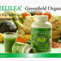 Jual GREENFIELD Organic Besar // Melilea // GFO Besar Murah
