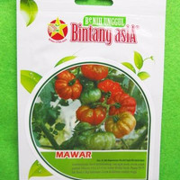 Benih Tomat Mawar Pack 125 Biji - Bintang Asia