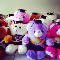 Jual BONEKA WISUDA TEDDY BEAR 30CM Murah