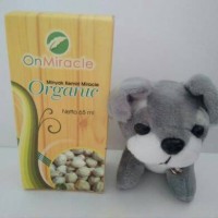 Minyak Kemiri On Miracle Organic